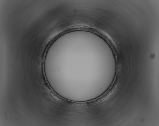 X0000094790778200711160916