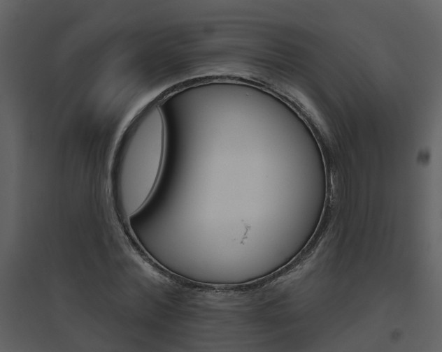 X0000094790780200711160916