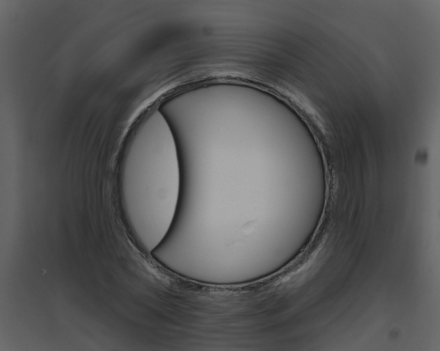 X0000094790782200711160916