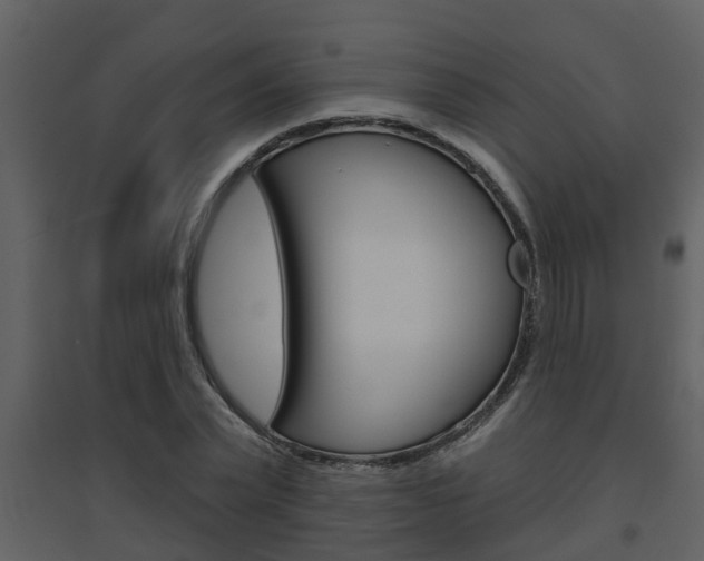 X0000094790783200711160916