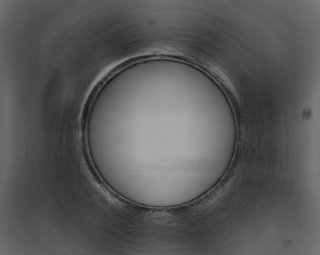 X0000094790784200711160916