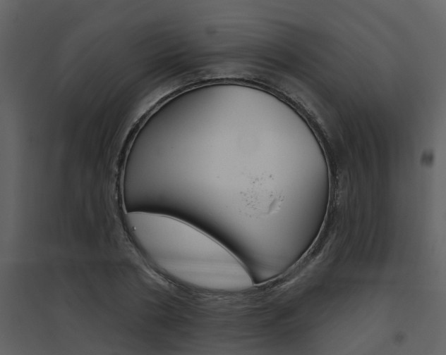 X0000094790786200711160916