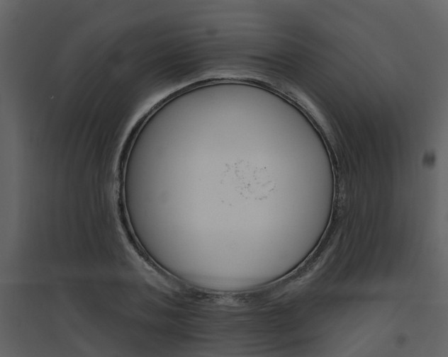 X0000094790787200711160916