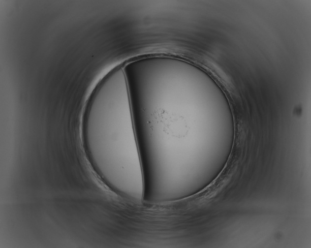 X0000094790788200711160916
