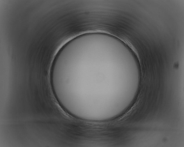 X0000094790789200711160916