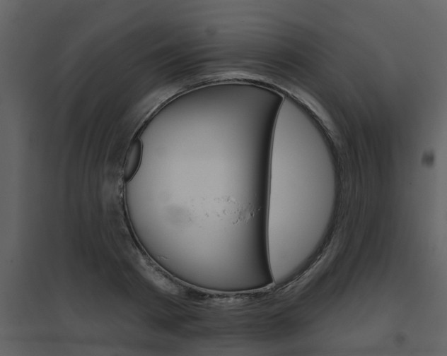 X0000094790793200711160916