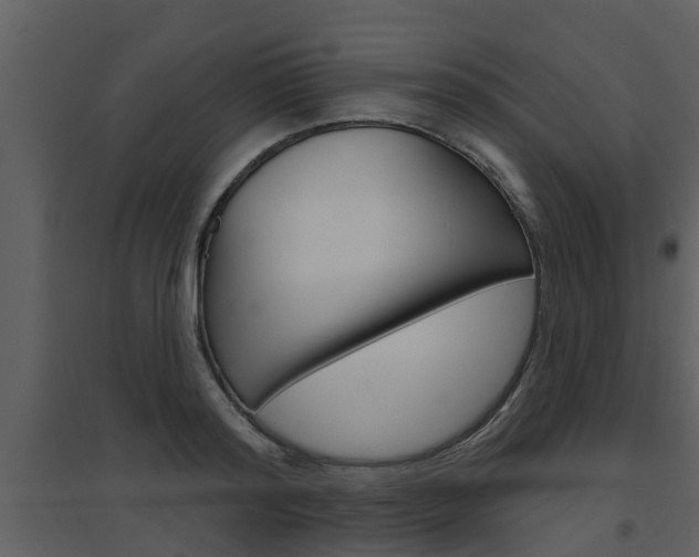X0000094790796200711160915