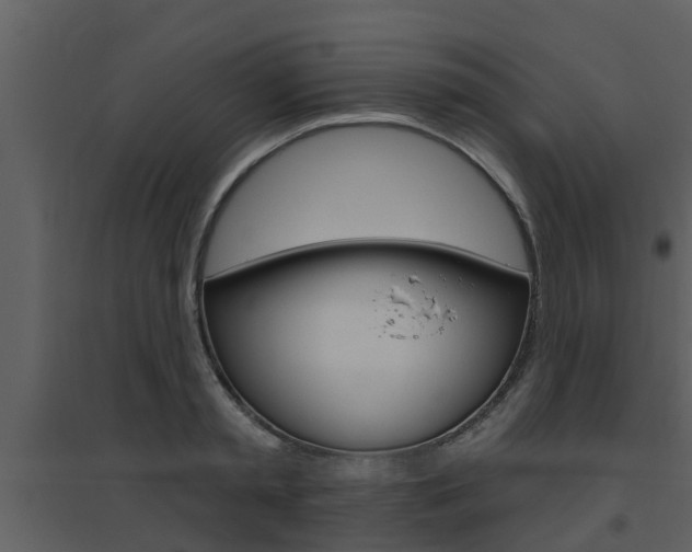 X0000094790797200711160915