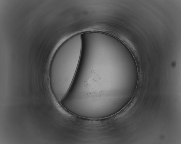 X0000094790800200711160915