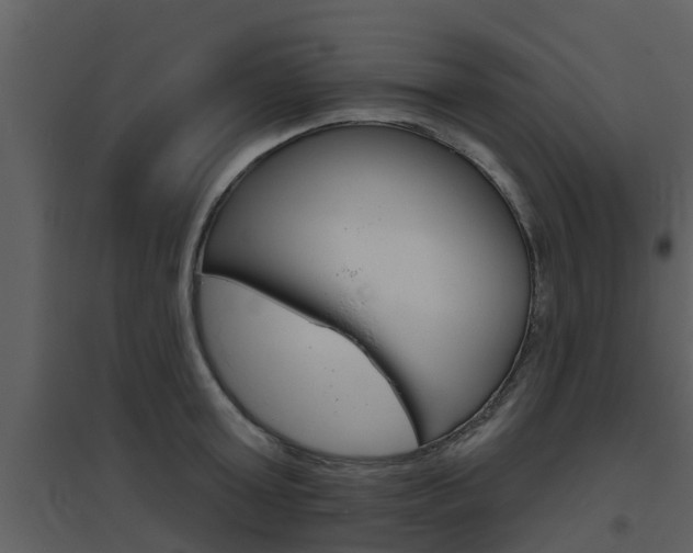 X0000094790803200711160915