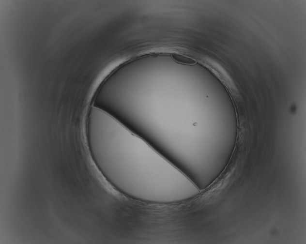 X0000094790804200711160915