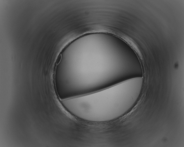 X0000094790805200711160915