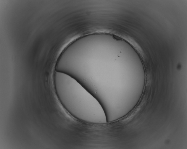 X0000094790806200711160915