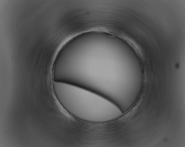 X0000094790808200711160915