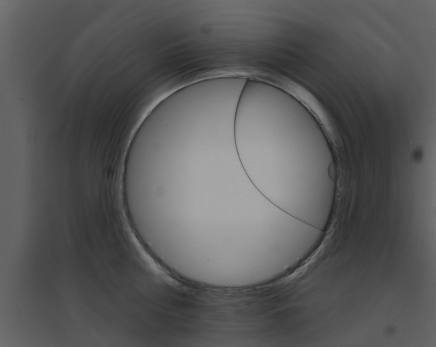X0000094790810200711160915
