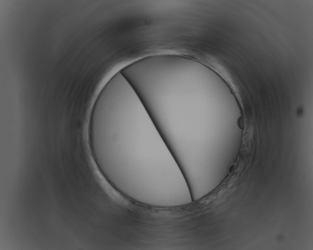 X0000094790811200711160915