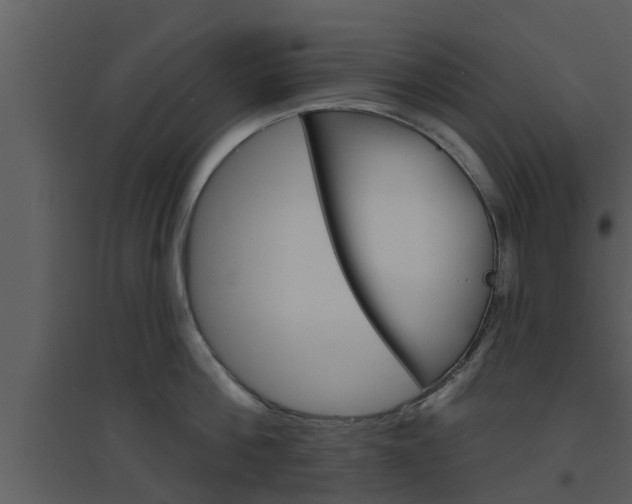 X0000094790812200711160915