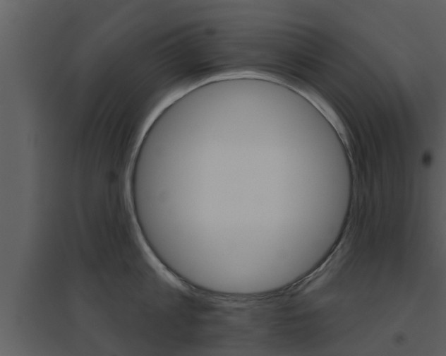 X0000094790813200711160915