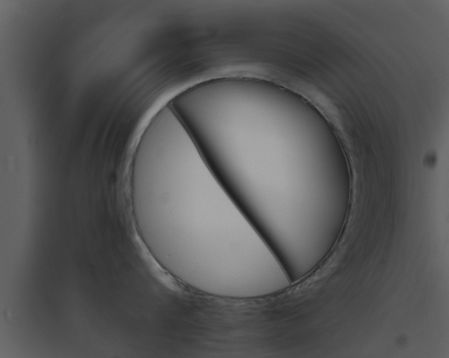 X0000094790816200711160915