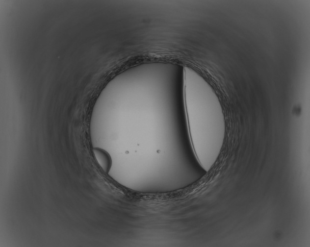 X0000094790817200711160914