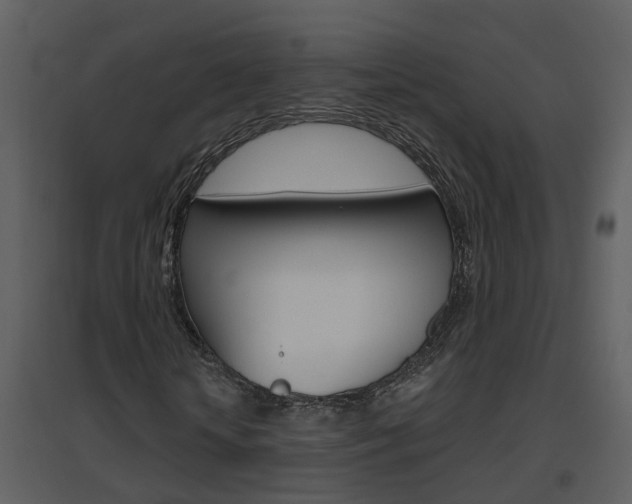X0000094790818200711160914