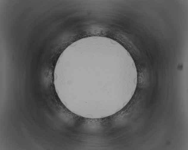 X0000094790820200711160914