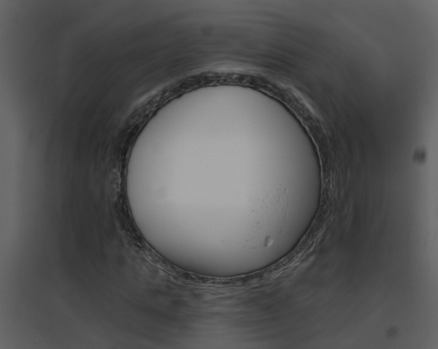 X0000094790821200711160914