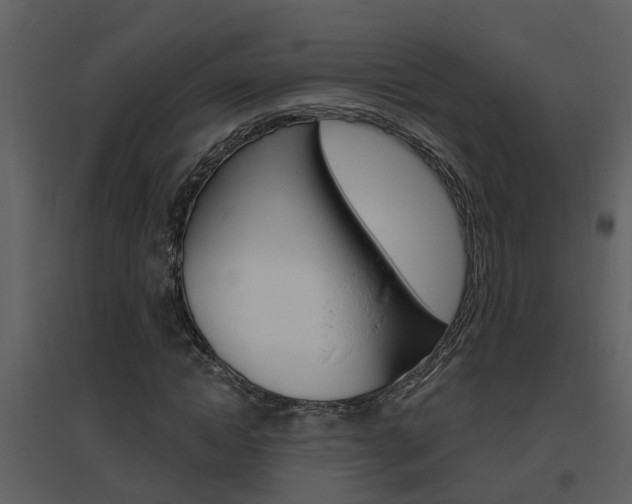 X0000094790822200711160914