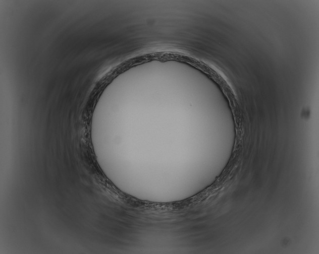 X0000094790823200711160914
