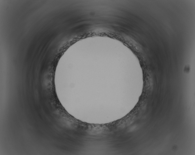 X0000094790824200711160914