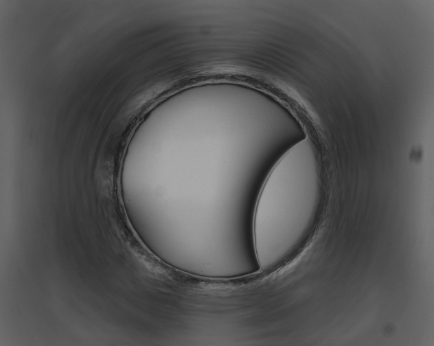 X0000094790825200711160914