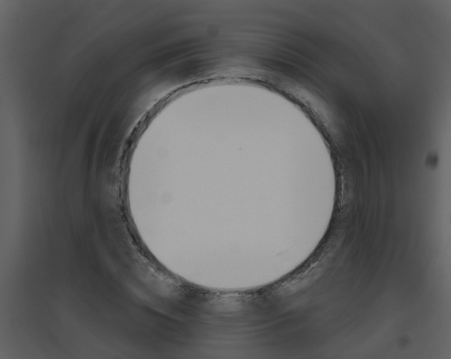 X0000094790828200711160915