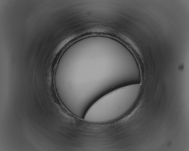 X0000094790829200711160915