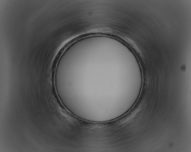 X0000094790830200711160915