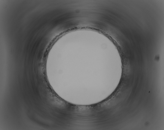 X0000094790832200711160915