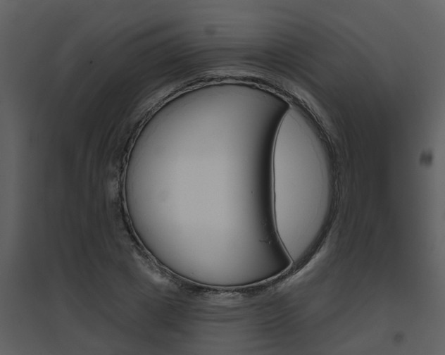 X0000094790833200711160915