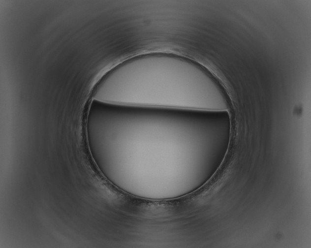 X0000094790834200711160915