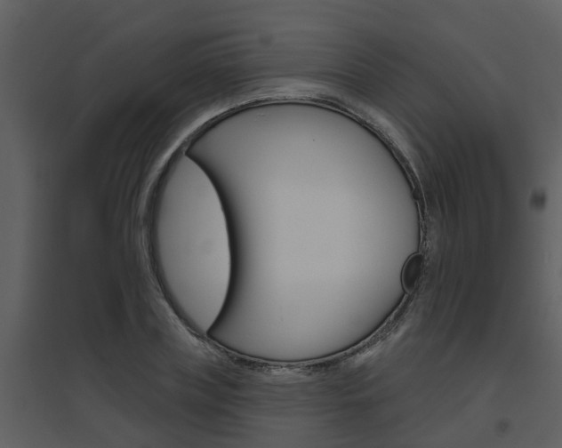 X0000094790835200711160915