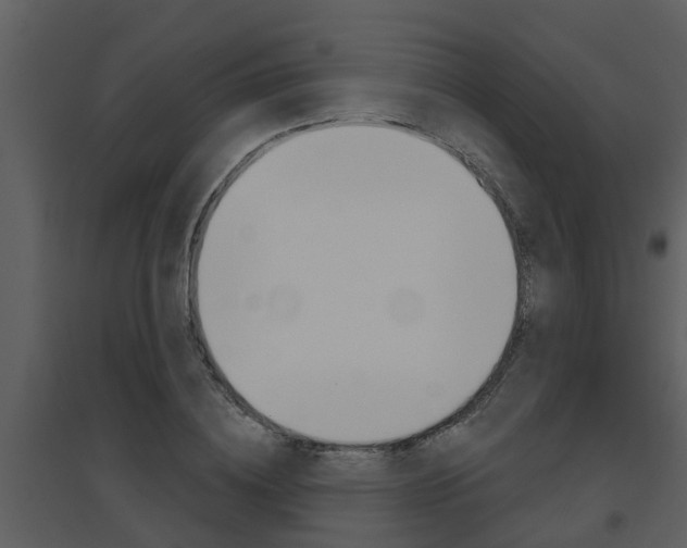 X0000094790836200711160915