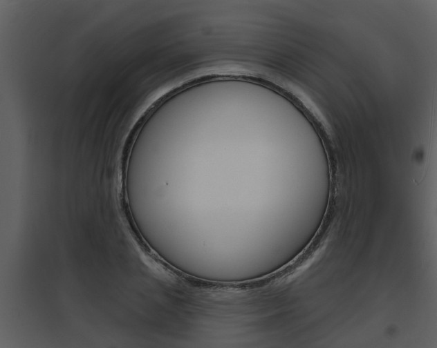 X0000094790837200711160915
