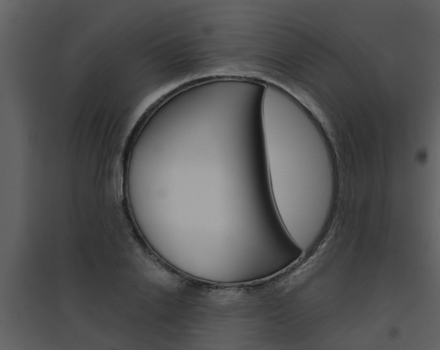 X0000094790838200711160915
