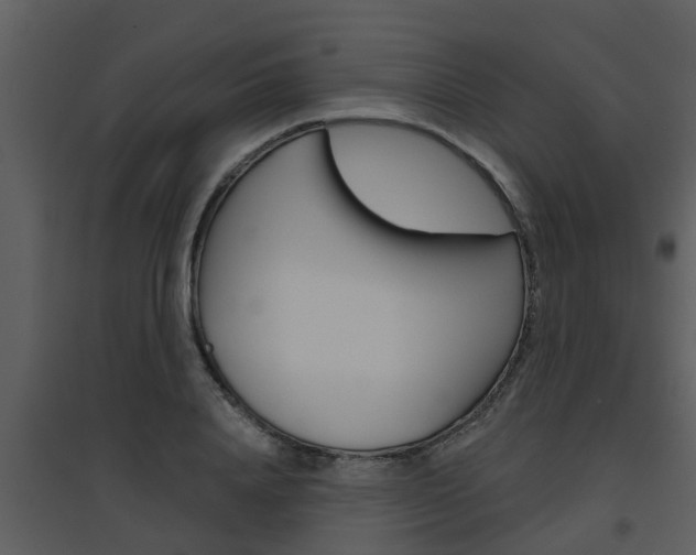 X0000094790840200711160915