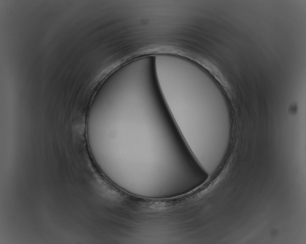 X0000094790841200711160915