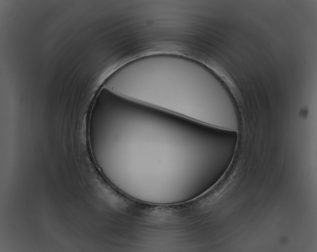 X0000094790842200711160915