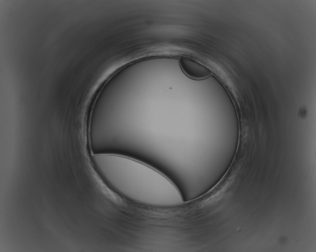 X0000094790843200711160915