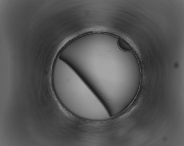 X0000094790845200711160915
