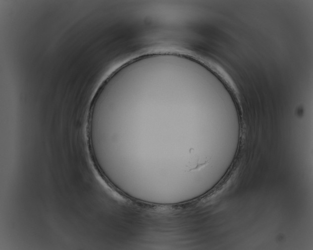 X0000094790847200711160915
