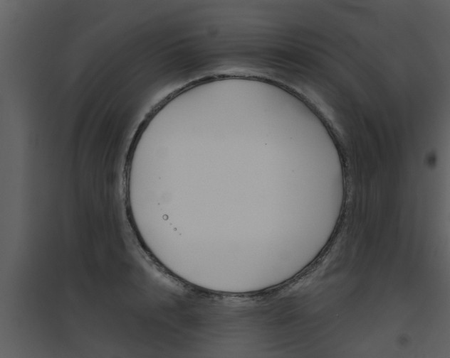 X0000094790848200711160915