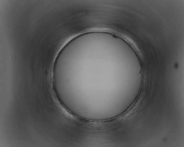 X0000094790852200711160915