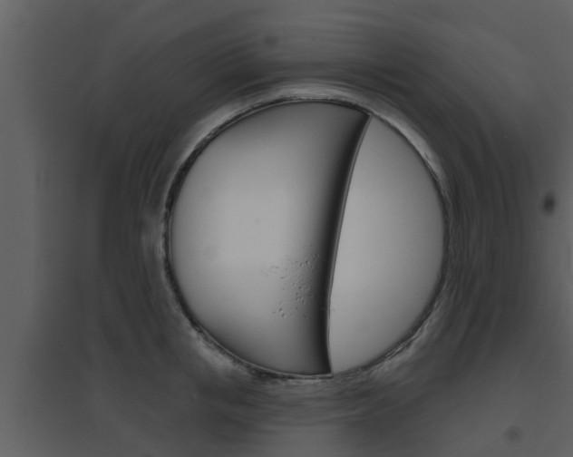 X0000094790853200711160915